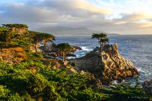 Lone Cypress on 17 Mile Drive-0171